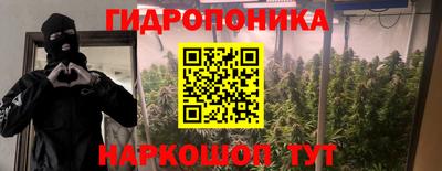 стаф Бугуруслан