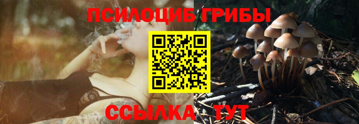 Псилоцибиновые грибы мицелий Советский